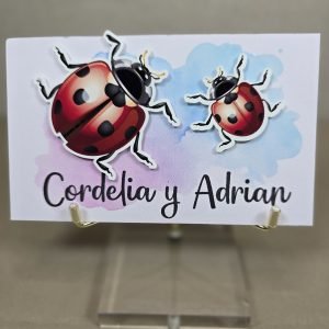 12 Tarjetas 3D Catarinas