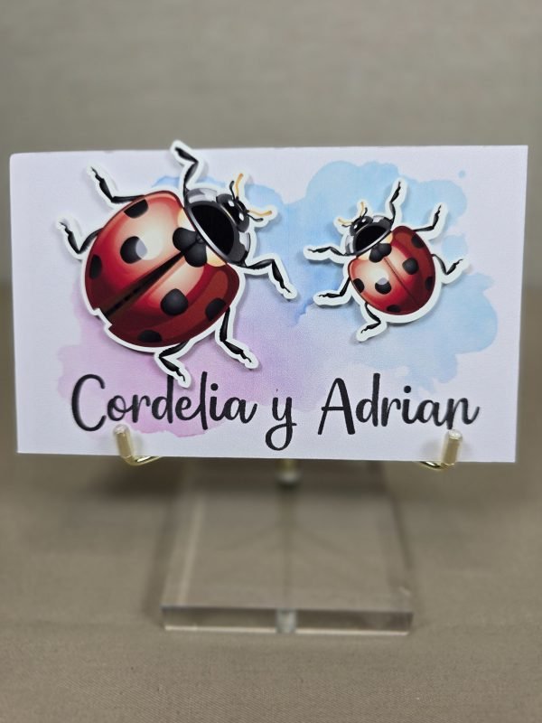 12 Tarjetas 3D Catarinas