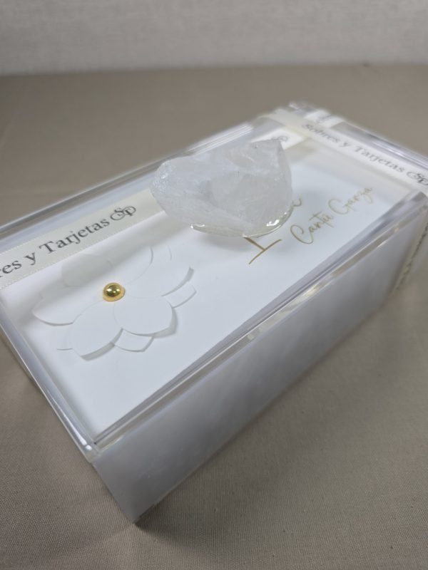 Kit de regalo 03